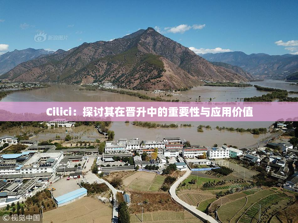 Cilici：探讨其在晋升中的重要性与应用价值