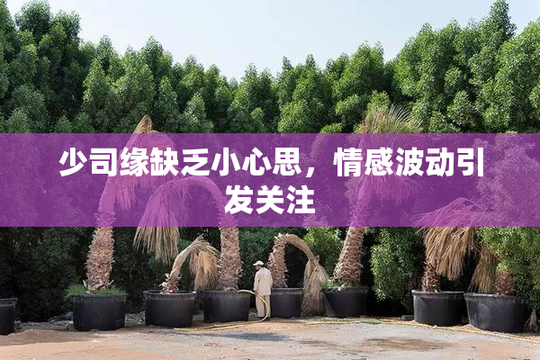 少司缘缺乏小心思，情感波动引发关注