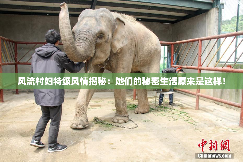 风流村妇特级风情揭秘：她们的秘密生活原来是这样！