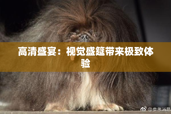 高清盛宴：视觉盛筵带来极致体验