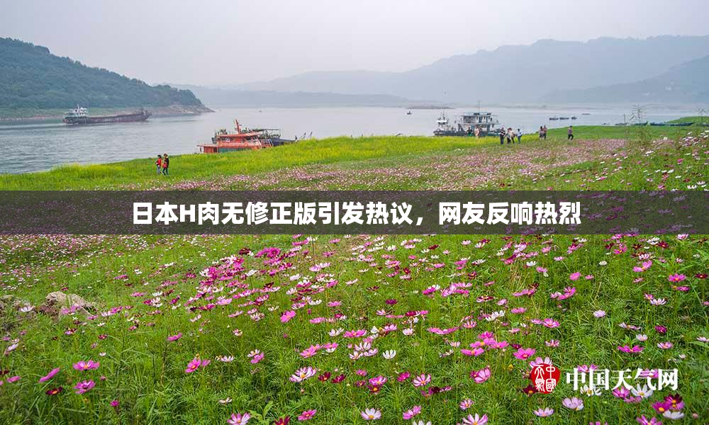 日本H肉无修正版引发热议，网友反响热烈