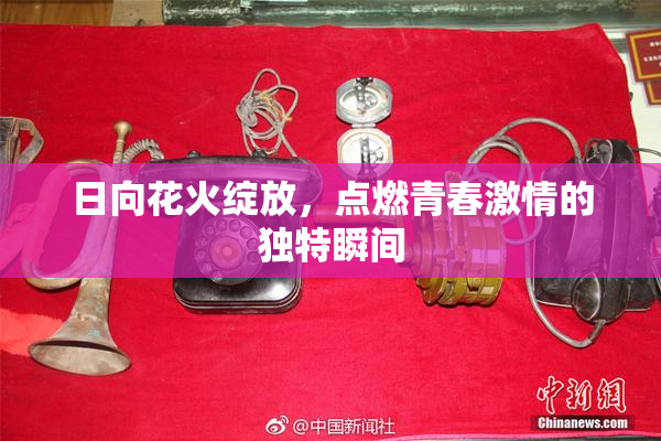 日向花火绽放，点燃青春激情的独特瞬间