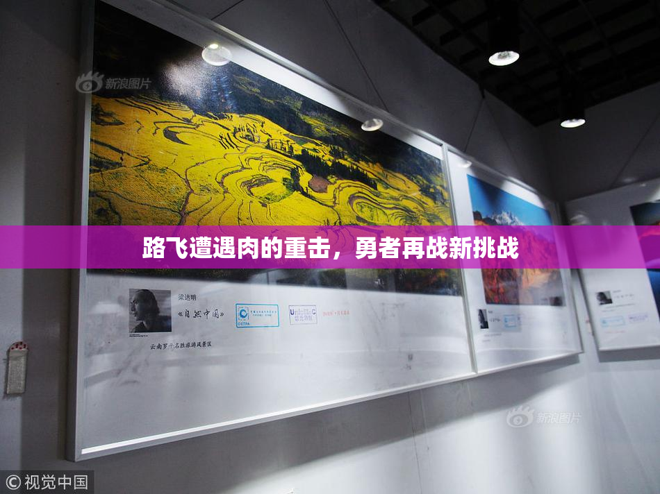 路飞遭遇肉的重击，勇者再战新挑战