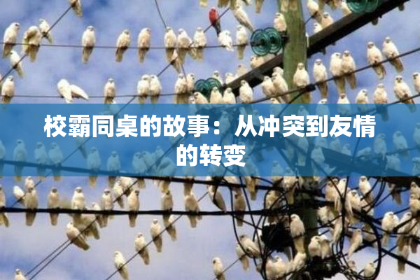 校霸同桌的故事：从冲突到友情的转变
