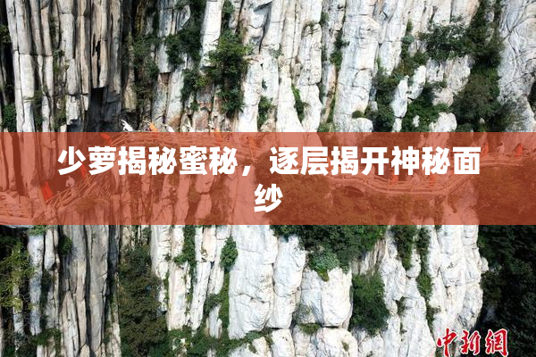 少萝揭秘蜜秘，逐层揭开神秘面纱