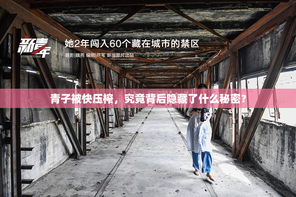 青子被快压榨，究竟背后隐藏了什么秘密？