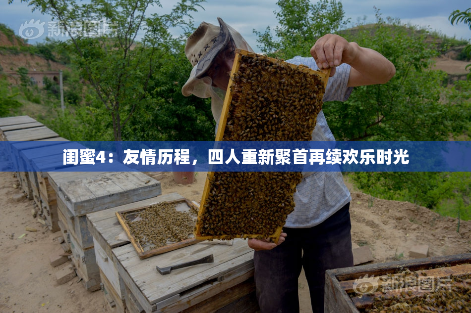 闺蜜4：友情历程，四人重新聚首再续欢乐时光
