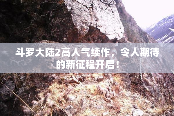斗罗大陆2高人气续作，令人期待的新征程开启！