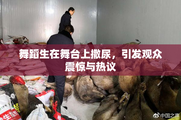 舞蹈生在舞台上撒尿，引发观众震惊与热议