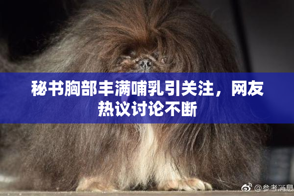 秘书胸部丰满哺乳引关注，网友热议讨论不断