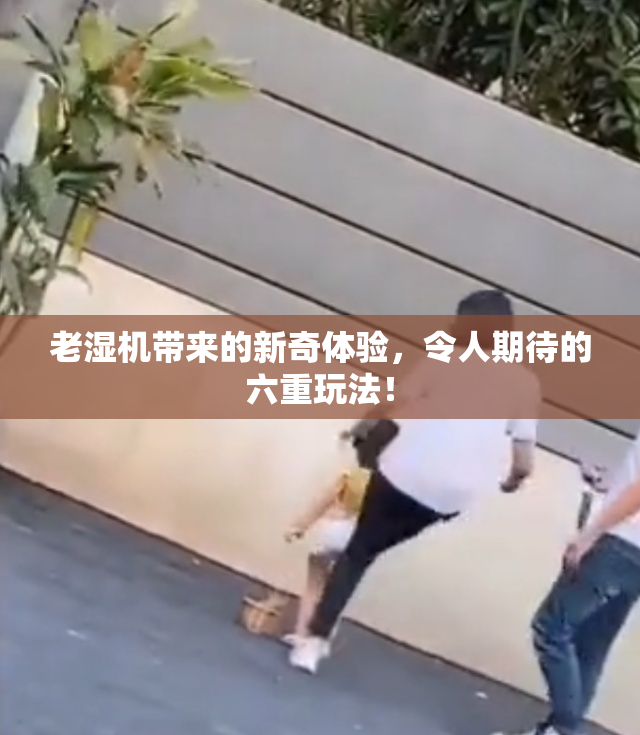 老湿机带来的新奇体验，令人期待的六重玩法！