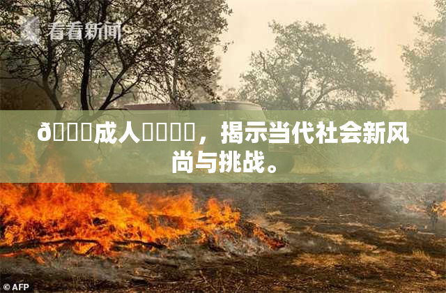 🔞成人❌‌❌‌，揭示当代社会新风尚与挑战。