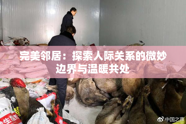 完美邻居：探索人际关系的微妙边界与温暖共处