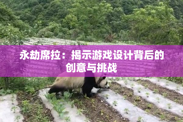 永劫席拉：揭示游戏设计背后的创意与挑战