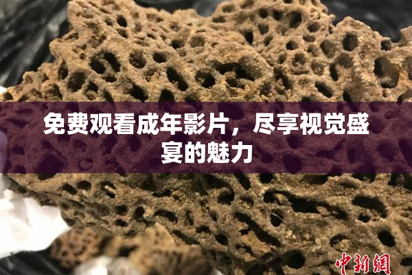 免费观看成年影片，尽享视觉盛宴的魅力