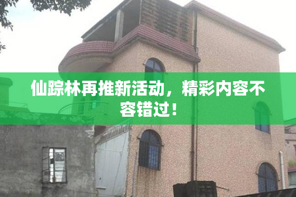 仙踪林再推新活动，精彩内容不容错过！
