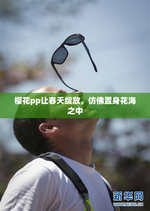 樱花pp让春天绽放，仿佛置身花海之中