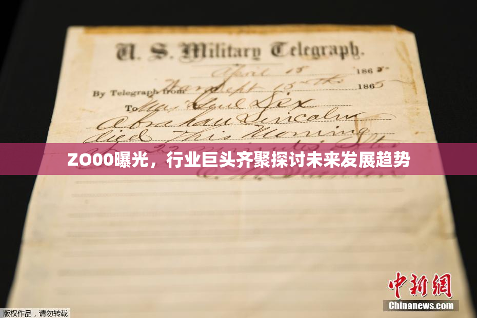 ZO00曝光，行业巨头齐聚探讨未来发展趋势