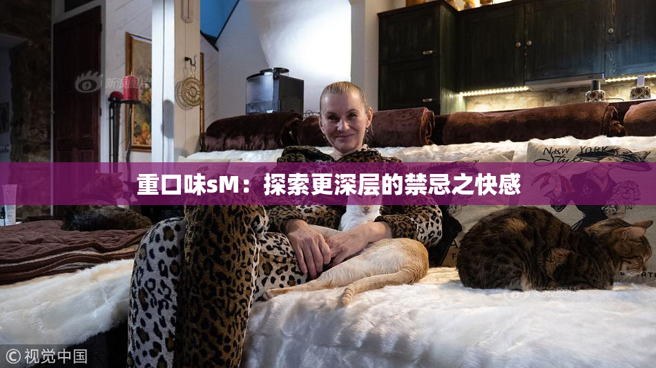 重口味sM：探索更深层的禁忌之快感