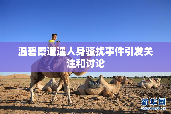 温碧霞遭遇人身骚扰事件引发关注和讨论