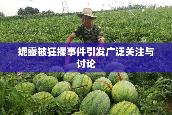 妮露被狂揉事件引发广泛关注与讨论