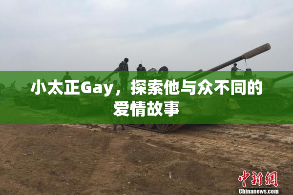 小太正Gay，探索他与众不同的爱情故事