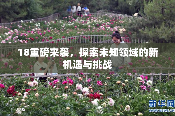 18重磅来袭，探索未知领域的新机遇与挑战