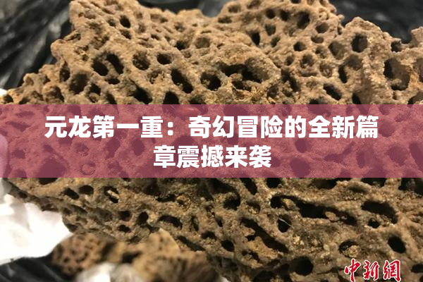 元龙第一重：奇幻冒险的全新篇章震撼来袭