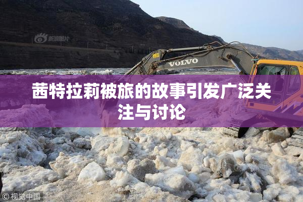 茜特拉莉被旅的故事引发广泛关注与讨论