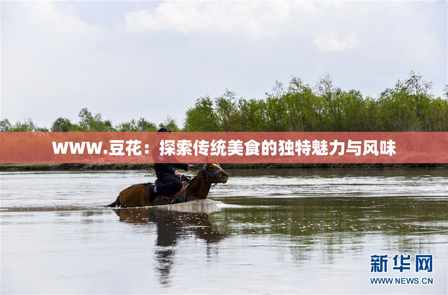 WWW.豆花：探索传统美食的独特魅力与风味
