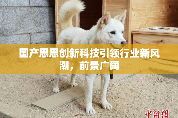 国产思思创新科技引领行业新风潮，前景广阔