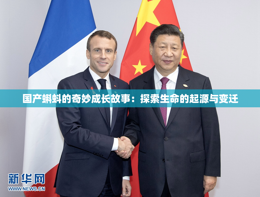 国产蝌蚪的奇妙成长故事：探索生命的起源与变迁