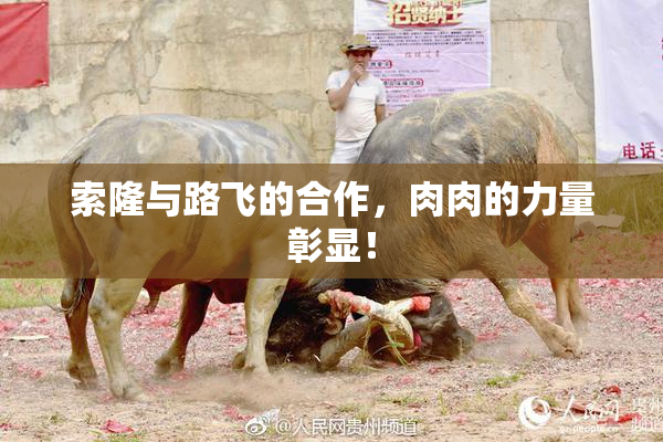 索隆与路飞的合作，肉肉的力量彰显！