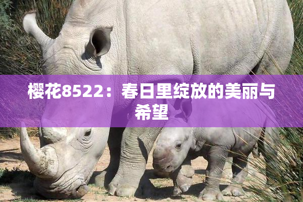 樱花8522：春日里绽放的美丽与希望