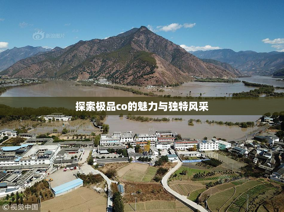探索极品co的魅力与独特风采