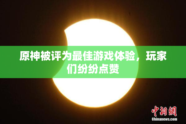 原神被评为最佳游戏体验，玩家们纷纷点赞