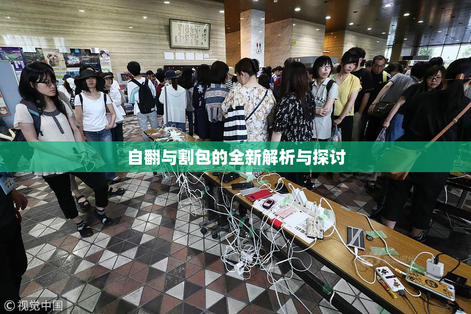 自翻与割包的全新解析与探讨