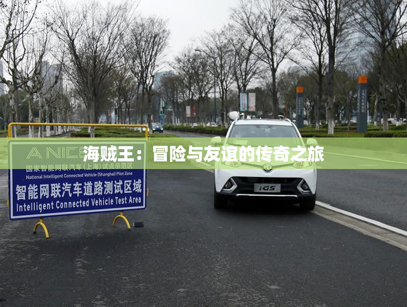 海贼王：冒险与友谊的传奇之旅