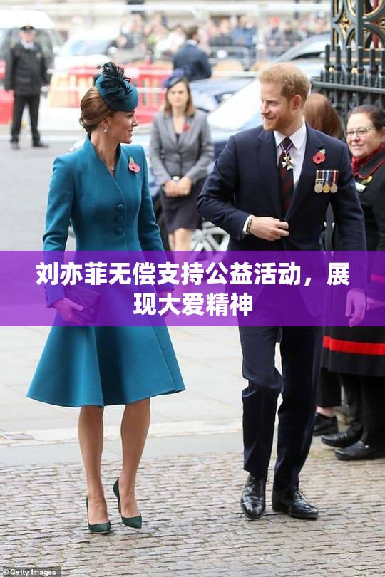 刘亦菲无偿支持公益活动，展现大爱精神