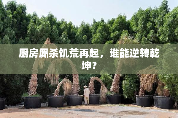厨房厮杀饥荒再起，谁能逆转乾坤？