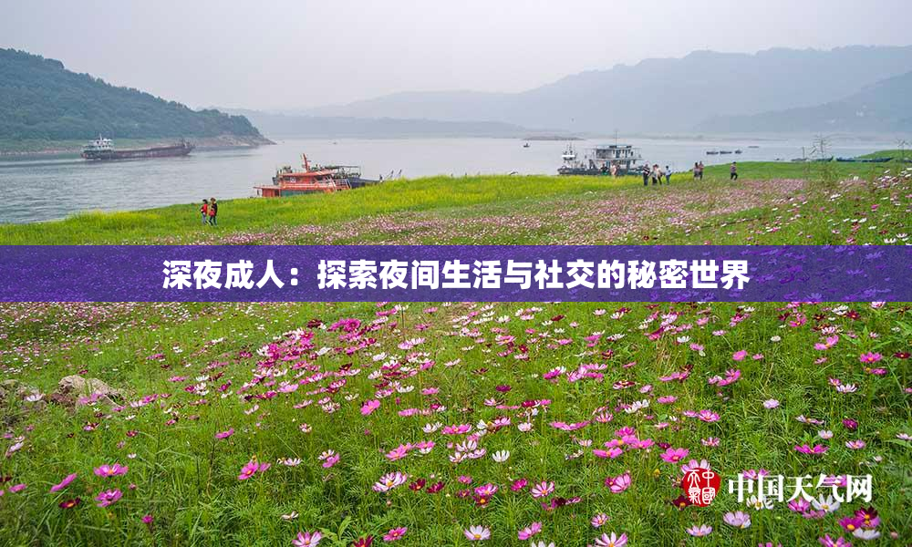 深夜成人：探索夜间生活与社交的秘密世界