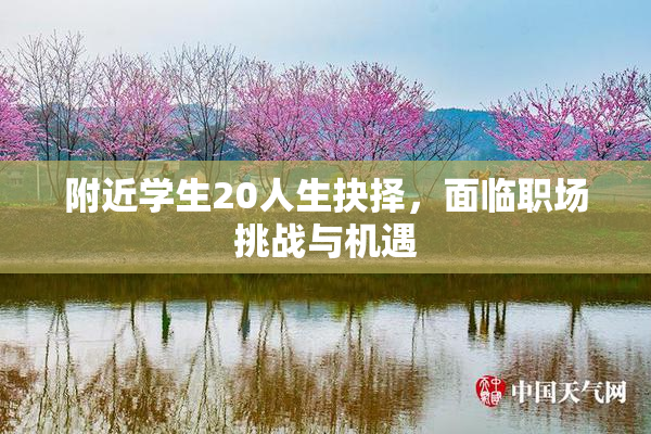 附近学生20人生抉择，面临职场挑战与机遇
