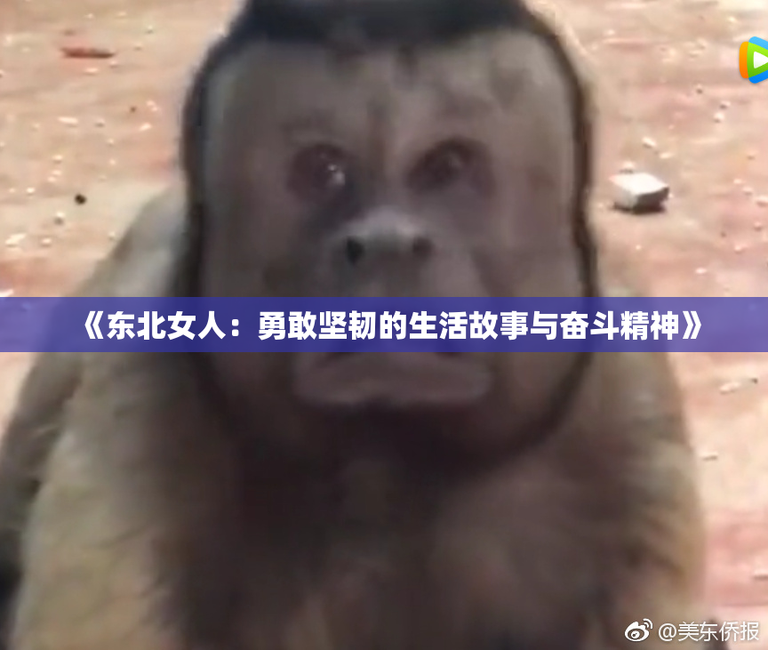 《东北女人：勇敢坚韧的生活故事与奋斗精神》