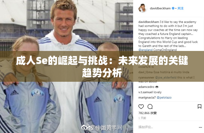 成人Se的崛起与挑战：未来发展的关键趋势分析