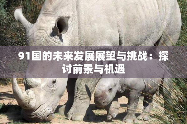 91国的未来发展展望与挑战：探讨前景与机遇