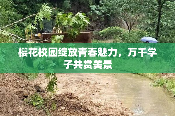 樱花校园绽放青春魅力，万千学子共赏美景