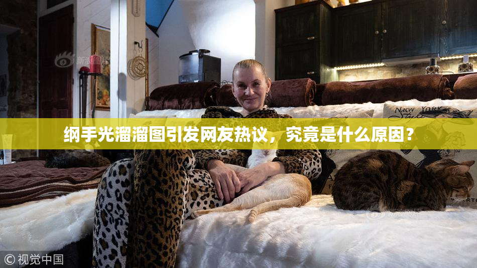 纲手光溜溜图引发网友热议，究竟是什么原因？