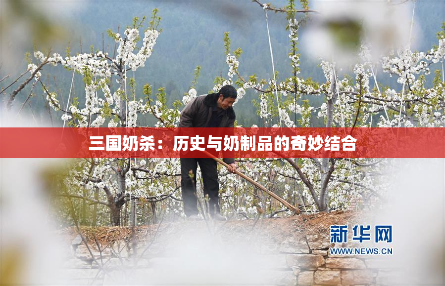 三国奶杀：历史与奶制品的奇妙结合