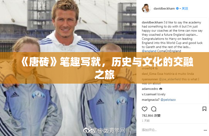 《唐砖》笔趣写就，历史与文化的交融之旅
