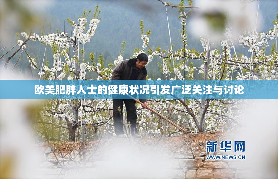 欧美肥胖人士的健康状况引发广泛关注与讨论